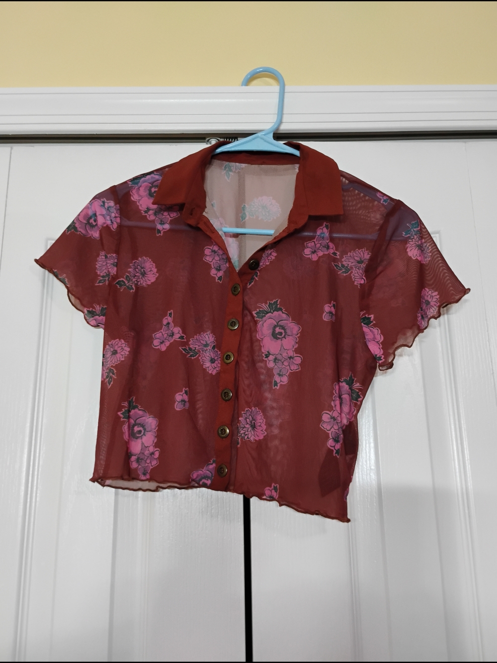 Free People Sheer Rust Button-Up Top with Pink Floral Print